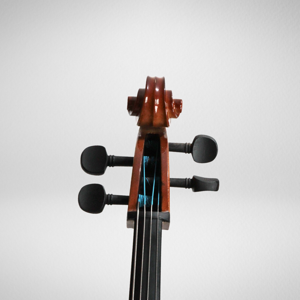 4 Violoncelo StartPlay SE100 (Novo Verniz) - 1/2 - Imagem 4