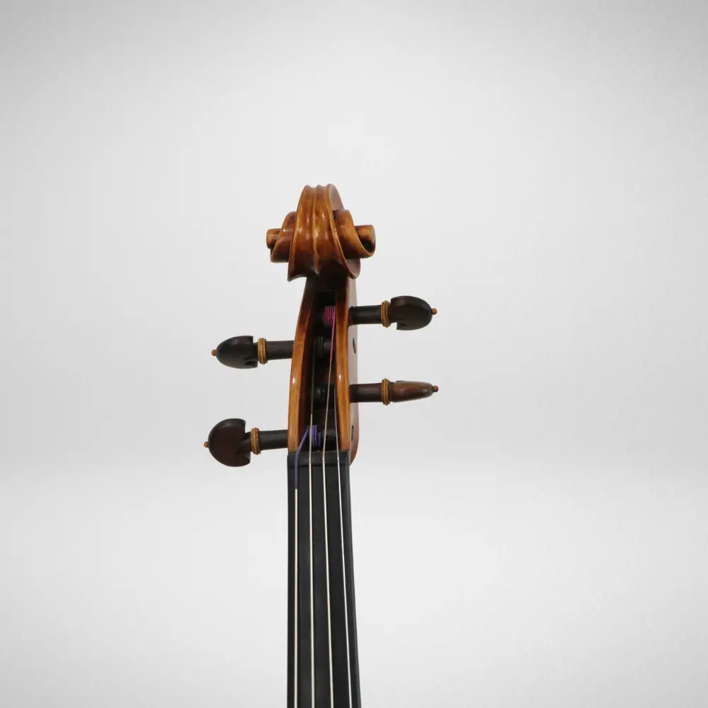 Viola Antoninilton F. Silva 2015, 40 cm: voluta e cravelhas em ébano vistas de frente